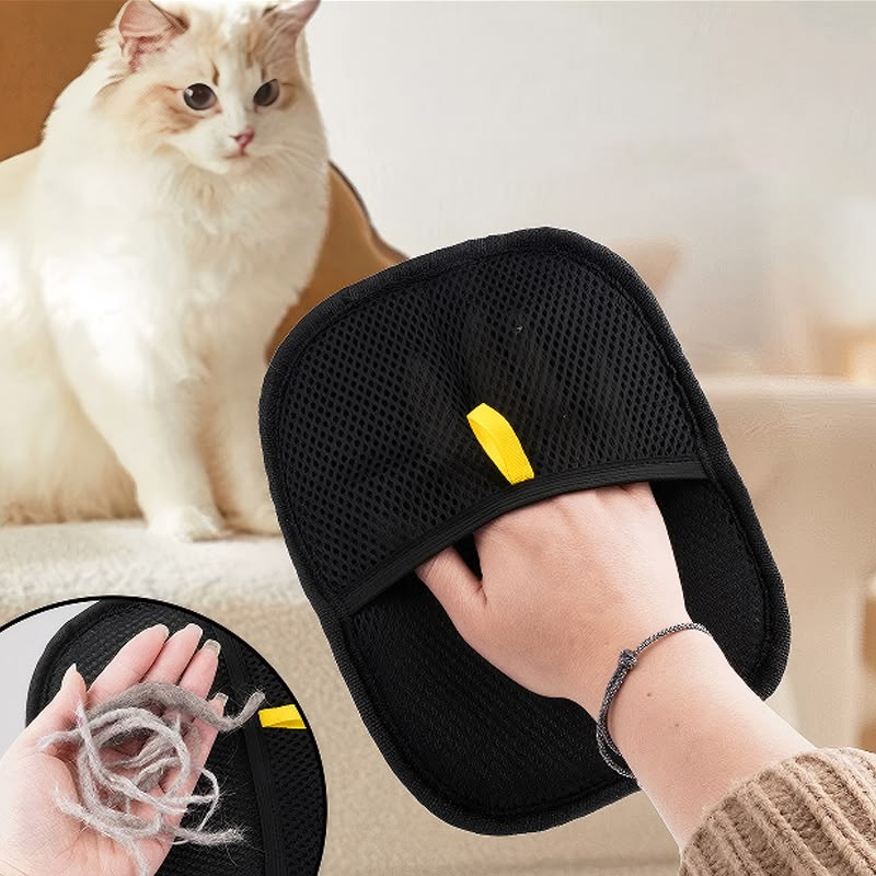 Pet Supplies & Accessories